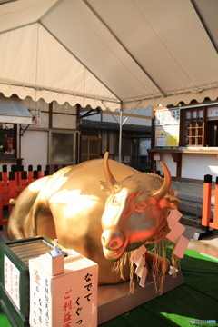 2021年・干支　丑