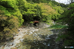 心を癒やす川 心を癒やす川