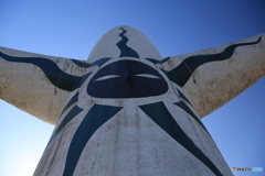 万博記念公園　太陽の塔裏から見ました