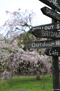 春はどっち 春はどっち