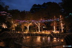 イルミネーション 1