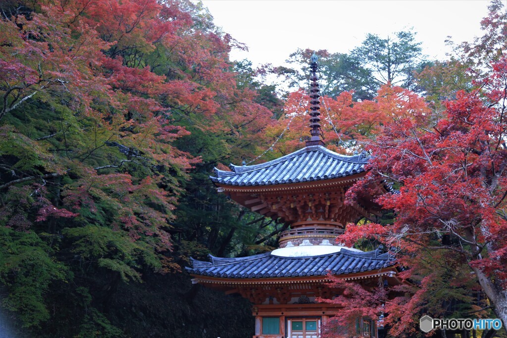 牛滝山　紅葉2
