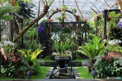 温室・観葉植物