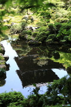 池に映る塔