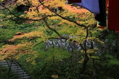 もう少しで色好き