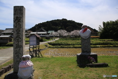 奈良　明日香村の春