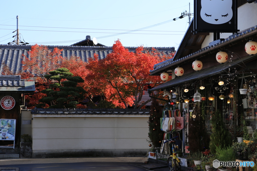 お土産店