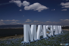 カイシマ カイシマ