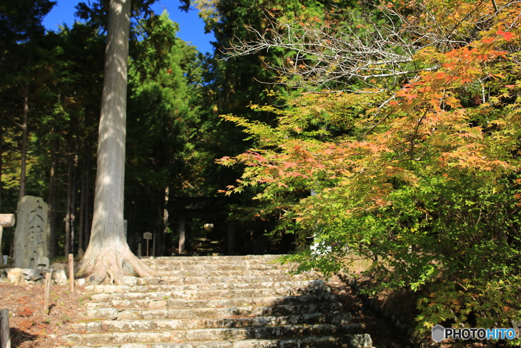 常照皇寺　紅葉1