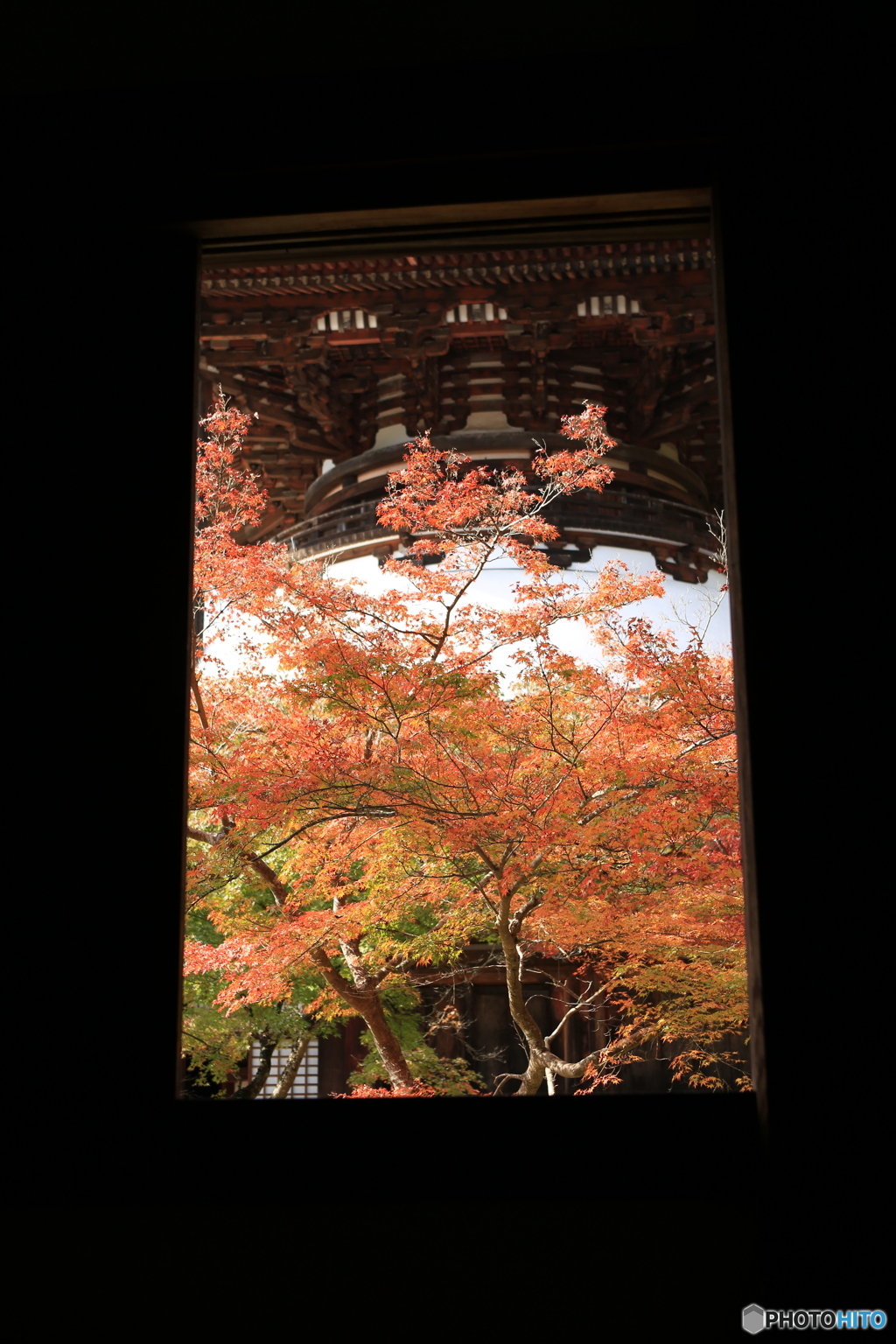 紅葉の額縁2
