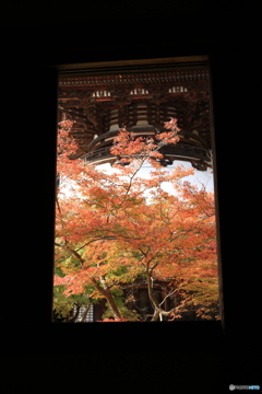 紅葉の額縁2
