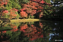 池の紅葉