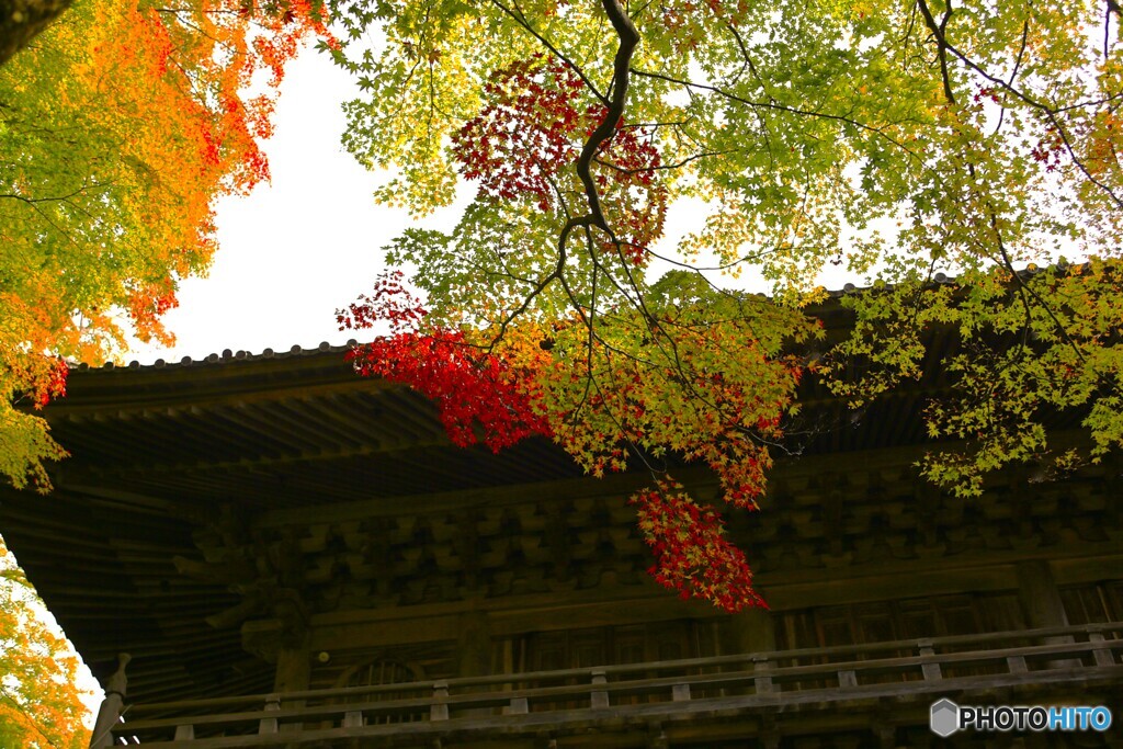 少し紅葉が楽しめます