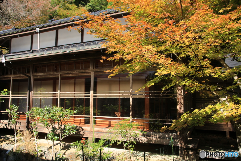 常照皇寺　紅葉3