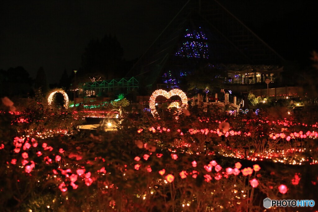 イルミネーション　2