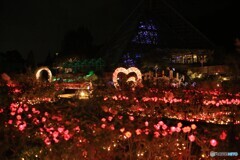 イルミネーション 2