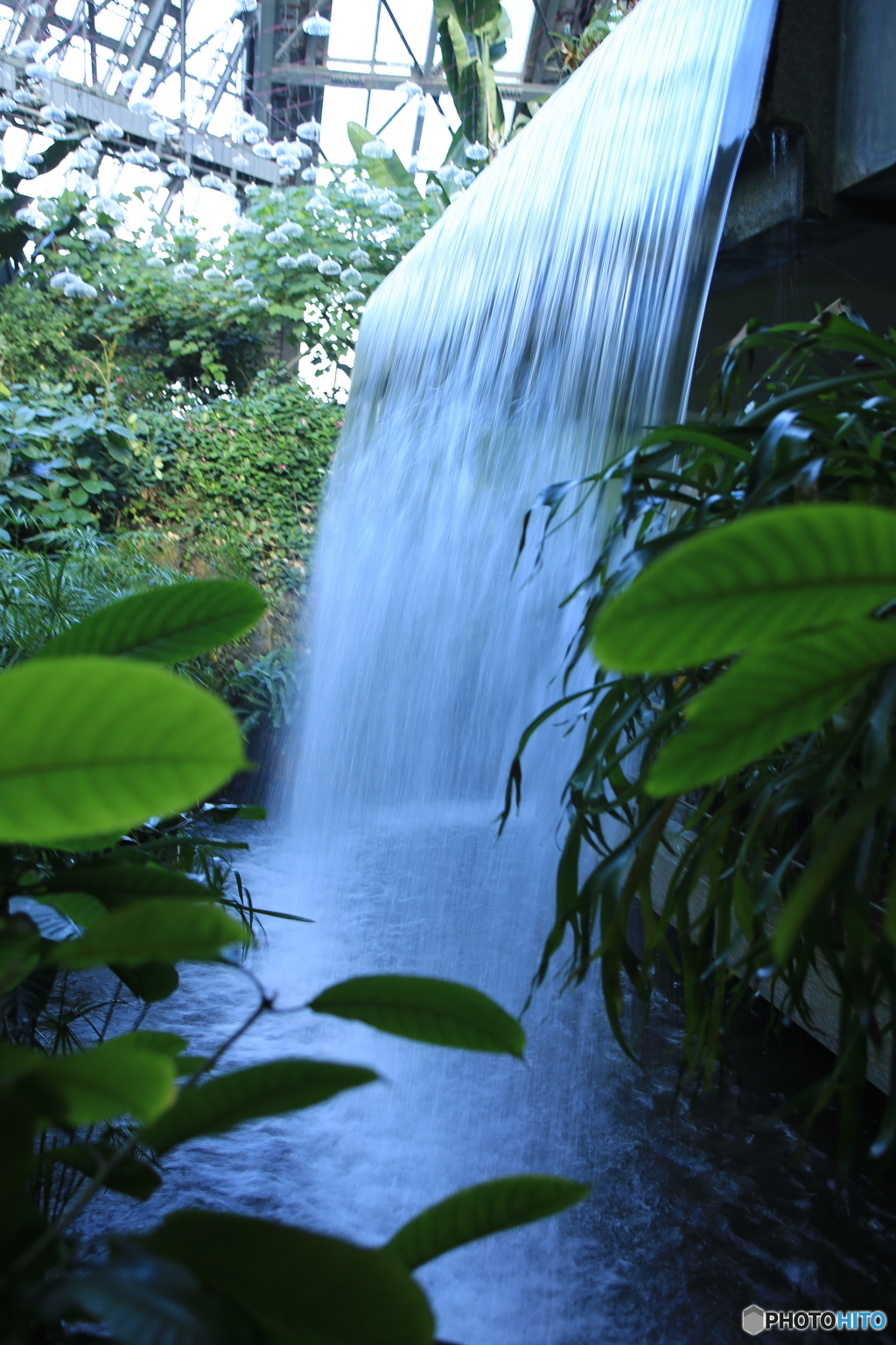 温室の滝2