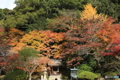 囲まれて