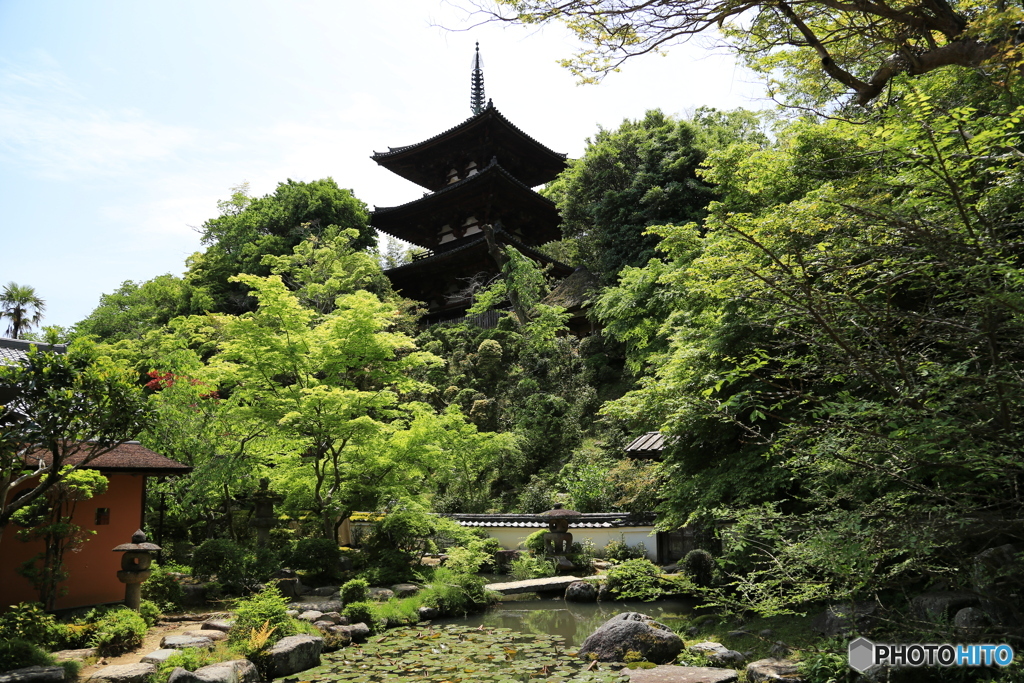 庭園