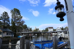 桟橋からの風景