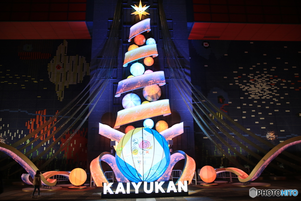 海遊館ライトアップ