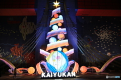 海遊館ライトアップ