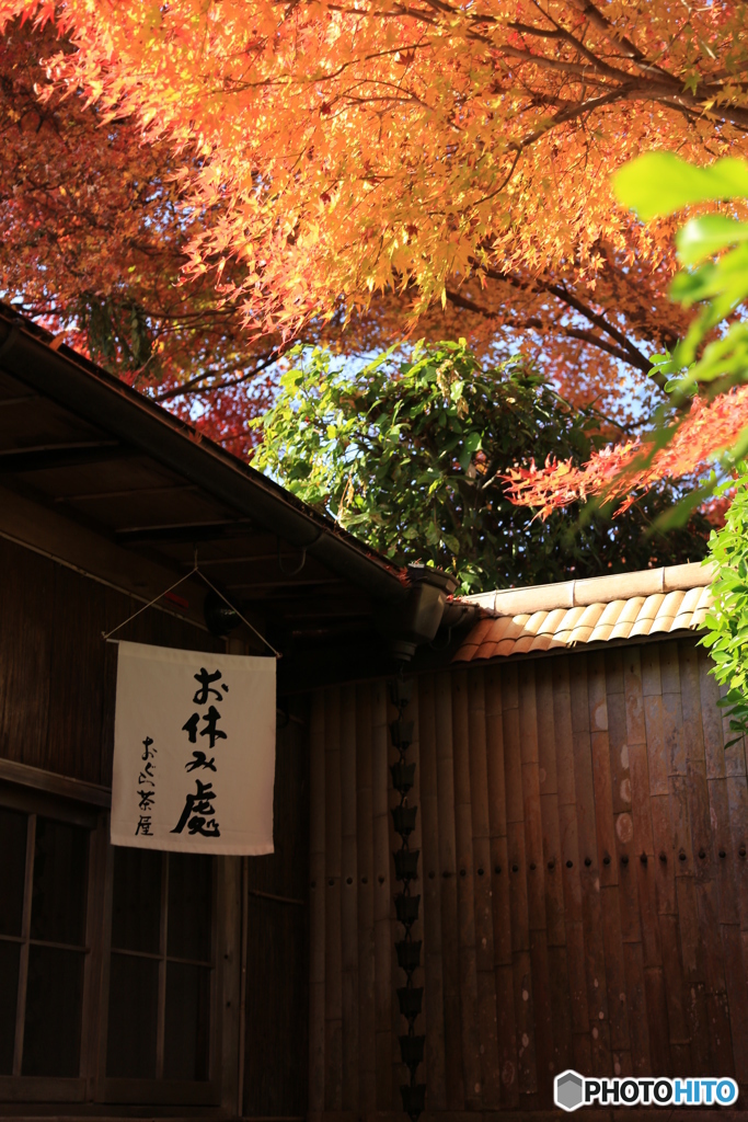 京都　お茶屋