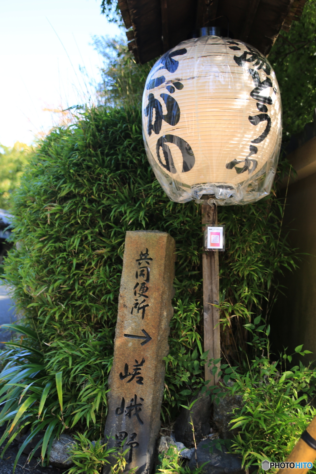 嵯峨野　湯どうふ