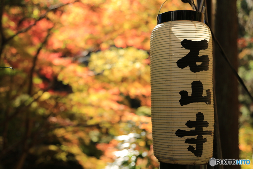 滋賀　石山寺の紅葉