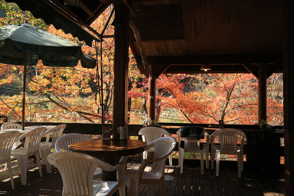秋のテラスカフェ