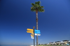 ヤシの木と道標2