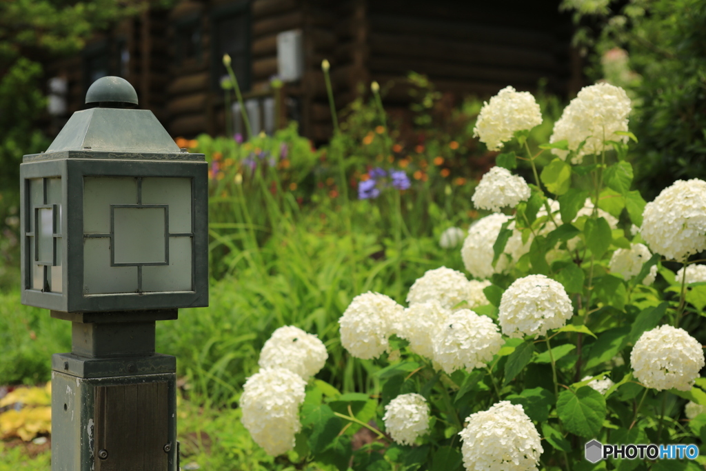 イングリッシュガーデン