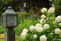 イングリッシュガーデン