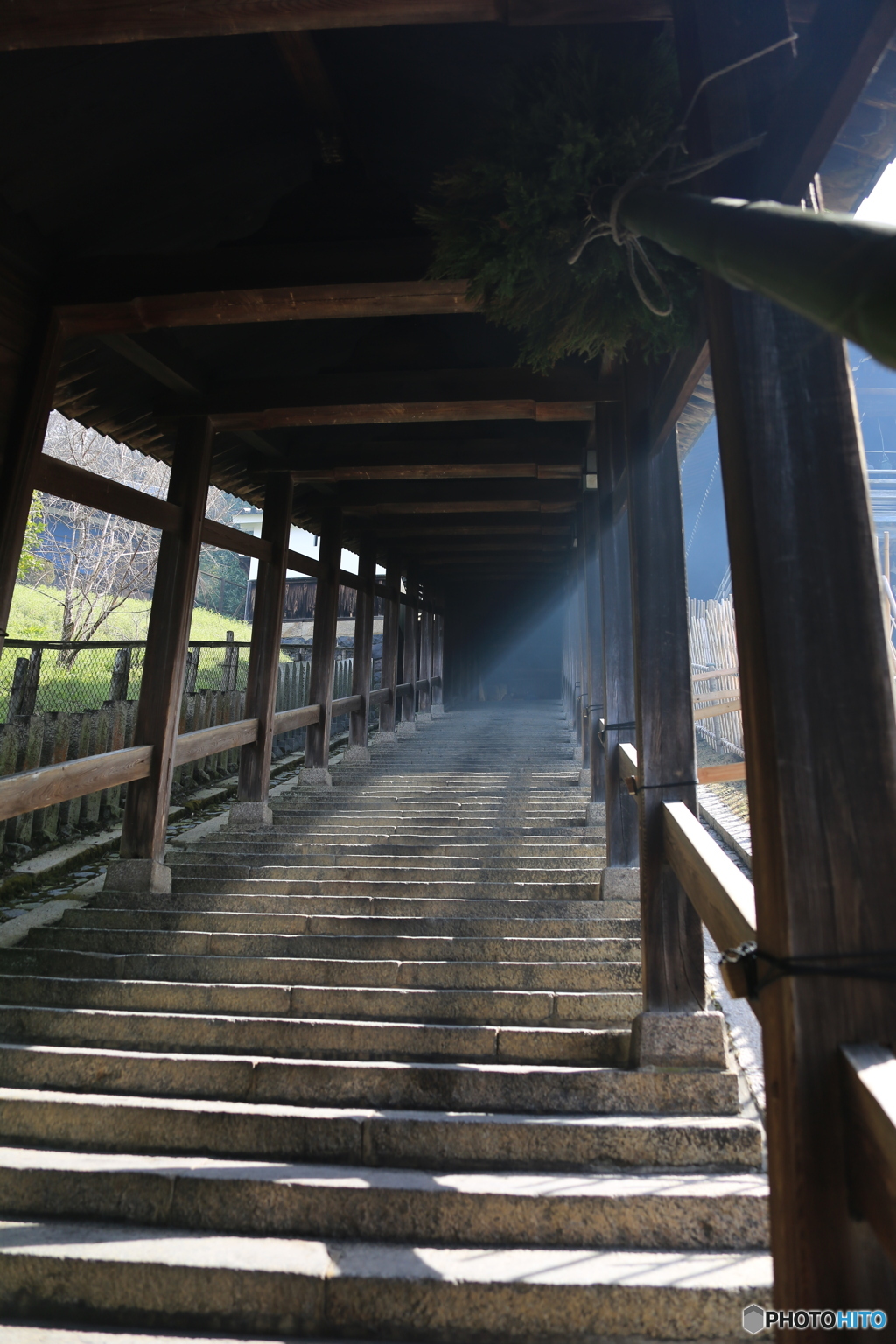 二月堂の光