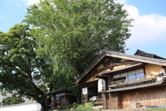 川沿いの有名な豆腐料理屋さん