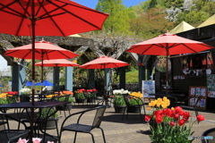 春のひと時2 春のひと時2