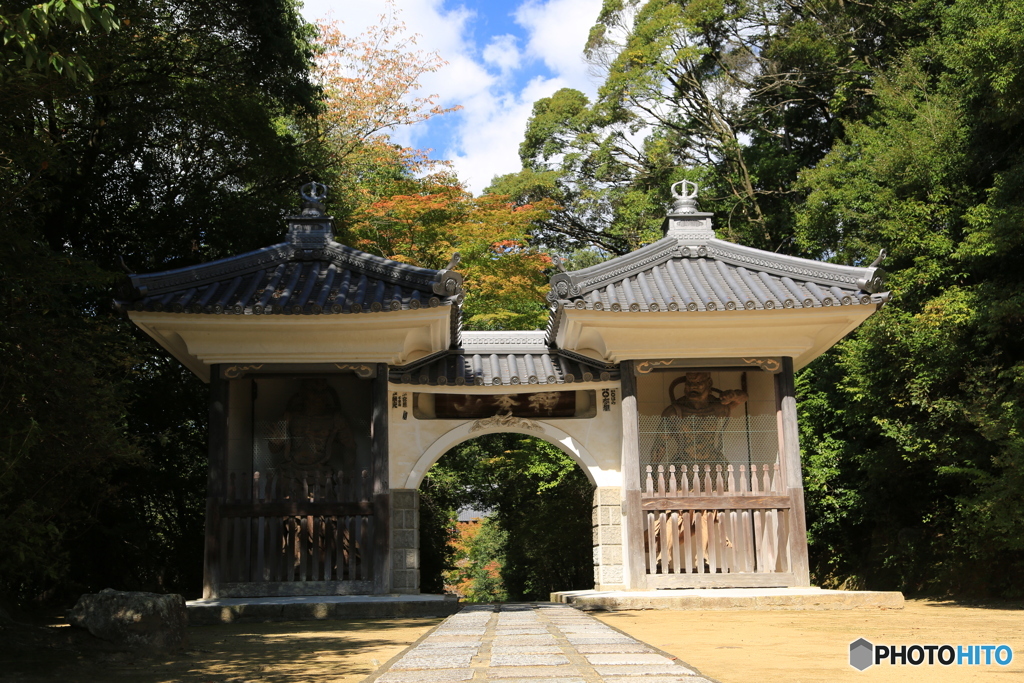 満願寺の紅葉