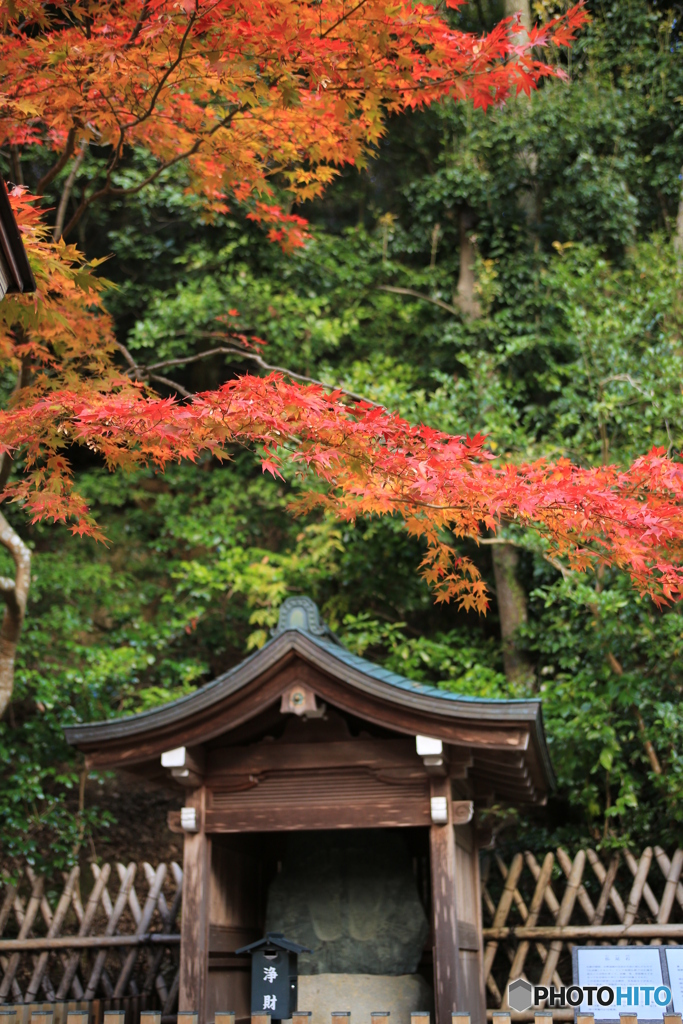 地蔵様の上の紅葉