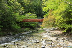 吊り橋 吊り橋