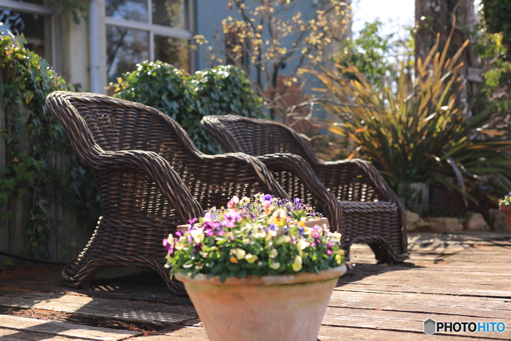 陽だまりの指定席