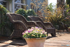 陽だまりの指定席