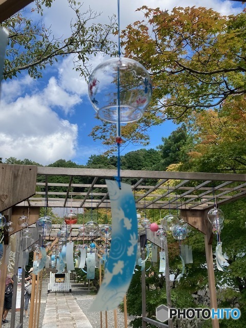 夏の終わりに撮りました