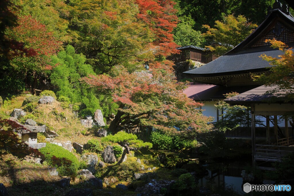 常照皇寺　紅葉4