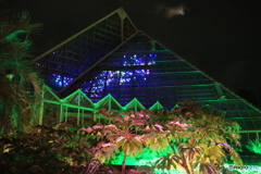 イルミネーション 3