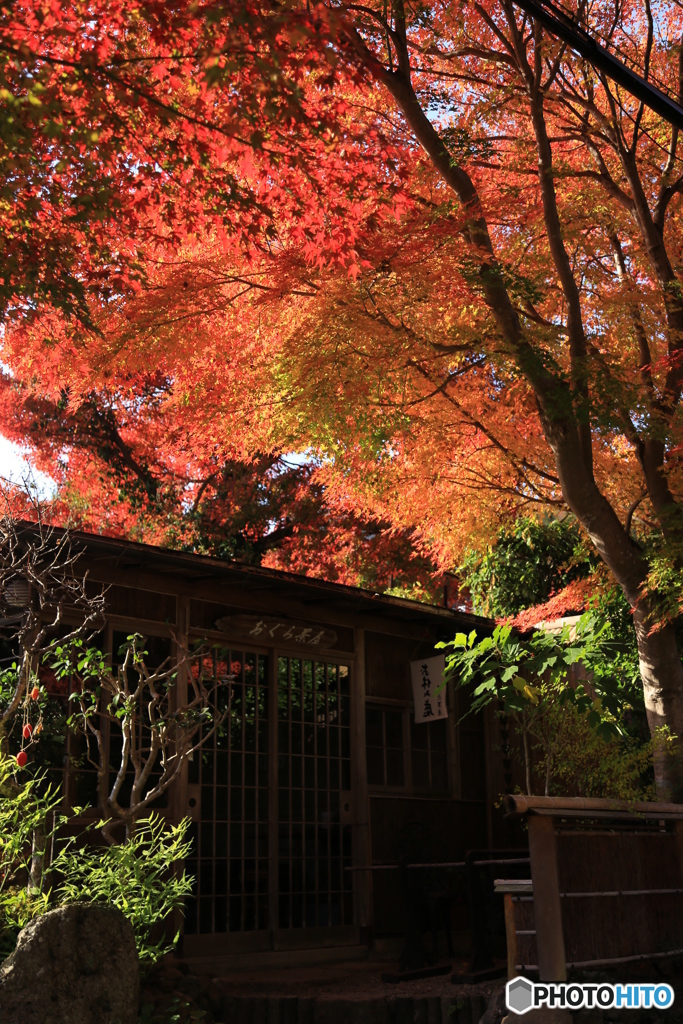 京都　嵐山　紅葉のお茶屋