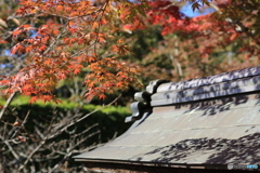満願寺 紅葉3