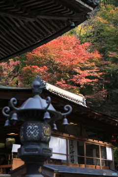 寺