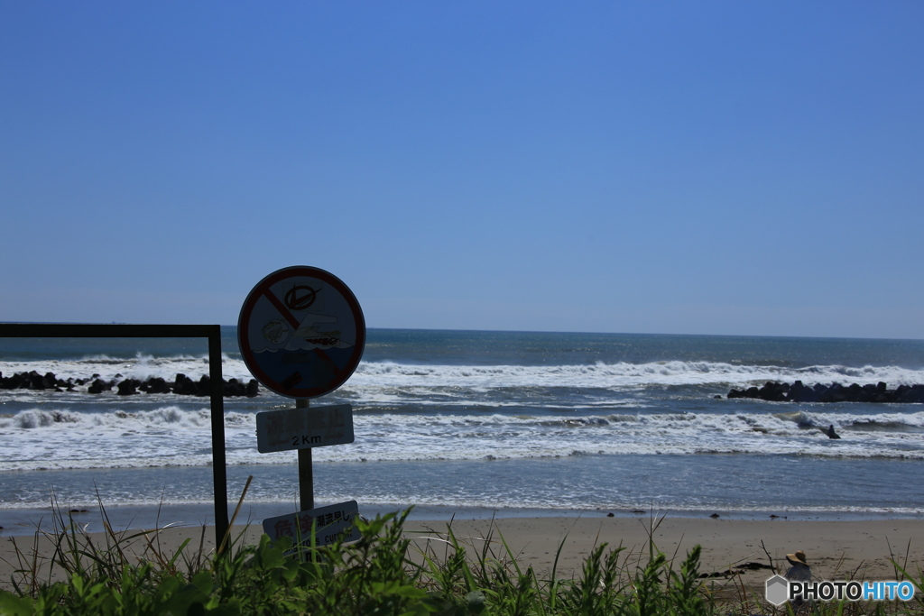 海