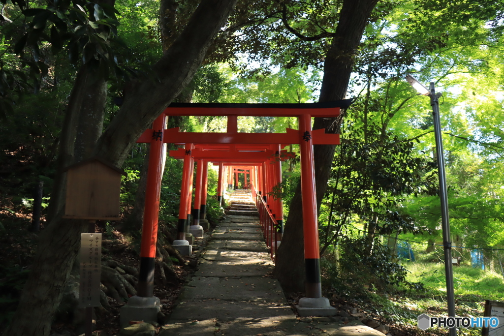 神社への道