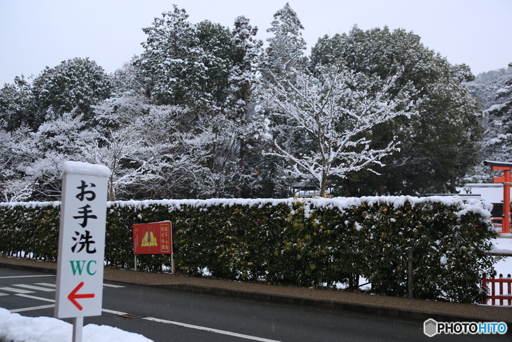 雪でお手洗い